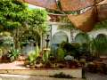 MariMurtra (Jardí Botànic)