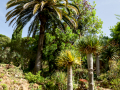 MariMurtra (Jardí Botànic)
