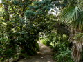 MariMurtra (Jardí Botànic)
