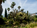 MariMurtra (Jardí Botànic)