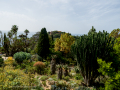 MariMurtra (Jardí Botànic)