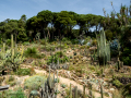 MariMurtra (Jardí Botànic)