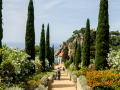 MariMurtra (Jardí Botànic)