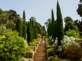 MariMurtra (Jardí Botànic)