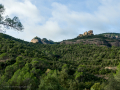 El Marquet de les Roques