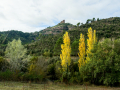 El Marquet de les Roques