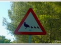 20130906b_Menorca señal.jpg