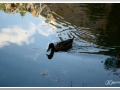 20130818b-Monasterio de Piedra_085.jpg