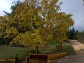 2015-10-25_004