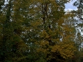 2015-10-25_021