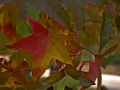 2015-10-25_025