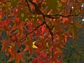 2015-10-25_028