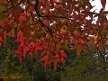 2015-10-25_029