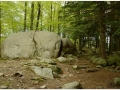 Montseny_007.jpg
