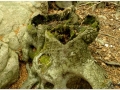 Montseny_008.jpg