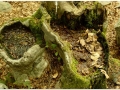 Montseny_011.jpg