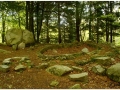 Montseny_016.jpg