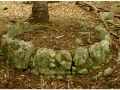 Montseny_017.jpg
