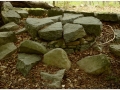 Montseny_018.jpg