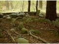Montseny_019.jpg