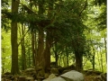 Montseny_021.jpg