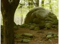 Montseny_022.jpg