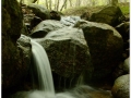 Montseny_057.jpg