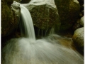 Montseny_059.jpg