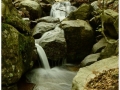 Montseny_060.jpg