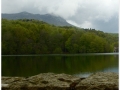 Montseny_071.jpg