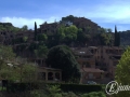 20140426-Mura_03.jpg