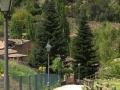 20140426-Mura_33.jpg
