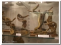 20060305-Museo Vallhonrat_04