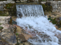 Nacimiento del Rio Cardener