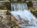 Nacimiento del Rio Cardener