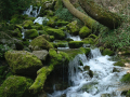 Nacimiento del Rio Cardener