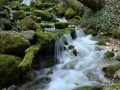Nacimiento del Rio Cardener