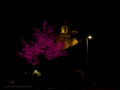 Paseo por navidad
