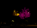 Paseo por navidad