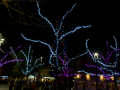 Paseo por navidad