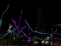 Paseo por navidad