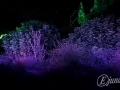 2014-07-29 23h20m37.jpg
