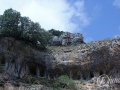 2014-08-04 12h57m57.jpg