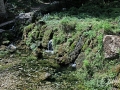 2014-08-04 13h07m20.jpg