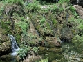 2014-08-04 13h11m35.jpg