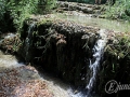 2014-08-04 13h27m31.jpg