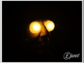 20140119-005_paint lighting.jpg