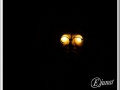 20140119-008_paint lighting.jpg