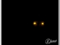 20140119-009_paint lighting.jpg