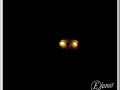 20140119-010_paint lighting.jpg